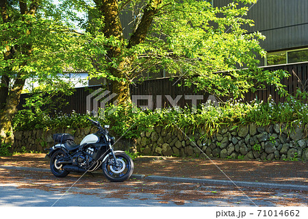 モーターサイクル 春の木漏れ日とバイク 東京都八王子市の写真素材