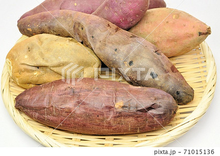 焼き芋の食べ比べ 71015136