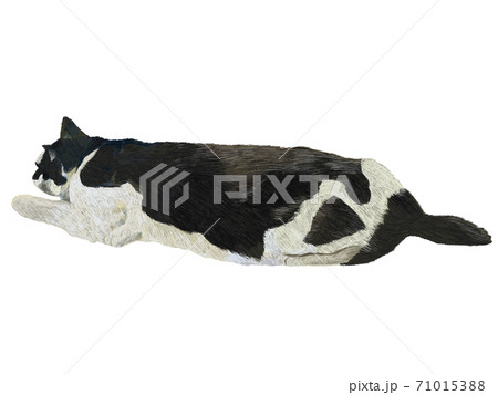 寝そべる牛柄猫のイラスト素材