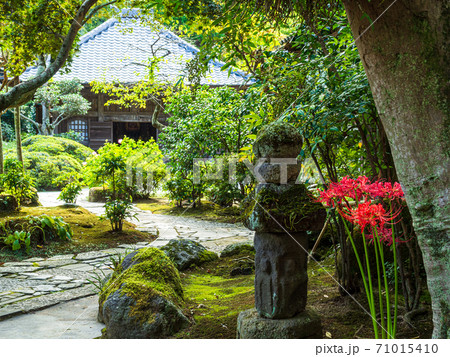鎌倉・海蔵寺　仏殿と彼岸花 71015410
