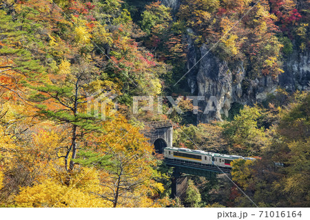 紅葉の鳴子峡 宮城県 紅葉の鳴子峡 宮城県 71016164