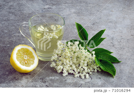 Elderberry inflorescence drink with lemon Elderberry inflorescence drink with lemon 71016294