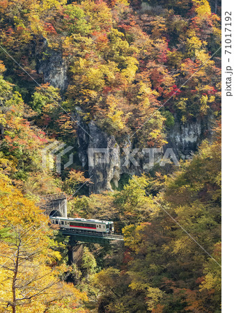 紅葉の鳴子峡　宮城県 71017192