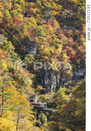 紅葉の鳴子峡　宮城県 71017193