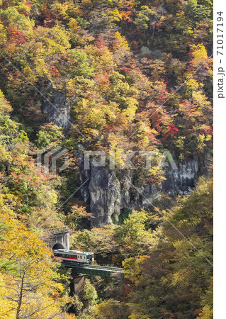 紅葉の鳴子峡　宮城県 71017194