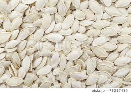 Pumpkin seeds background Pumpkin seeds background 71017456