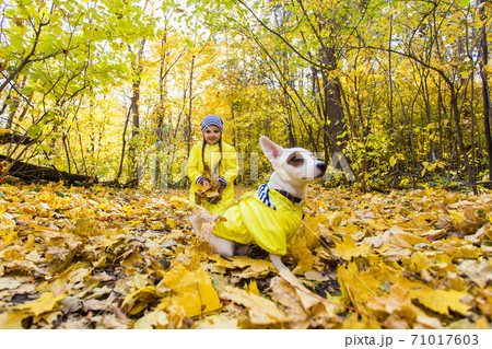 Little girl playing with her dog in autumn forest. Child and jack russell terrier dog. 71017603