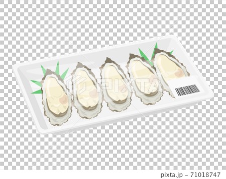 パックに入った牡蠣のイラスト パックに入った牡蠣のイラスト 71018747