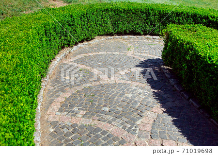walkway down from a square stone pavement with a stone border with a hedge of boxwood with green leafy bushes on a sunny summer day. walkway down from a square stone pavement with a stone border with a hedge of boxwood with green leafy bushes on a sunny summer day. 71019698