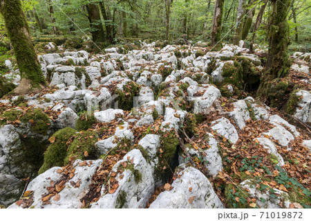 The karstic trail of Malrochers from Jura, France The karstic trail of Malrochers from Jura, France 71019872