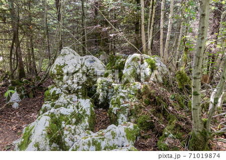 The karstic trail of Malrochers from Jura, France The karstic trail of Malrochers from Jura, France 71019874