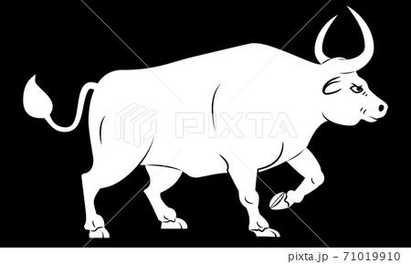 Silhouette of ox. Stylized contour of standing bull in profile. Isolated on black background. Bull logo design. Silhouette of ox. Stylized contour of standing bull in profile. Isolated on black background. Bull logo design. 71019910