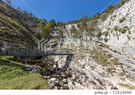 The sources of the Saine from Jura, France 71019996