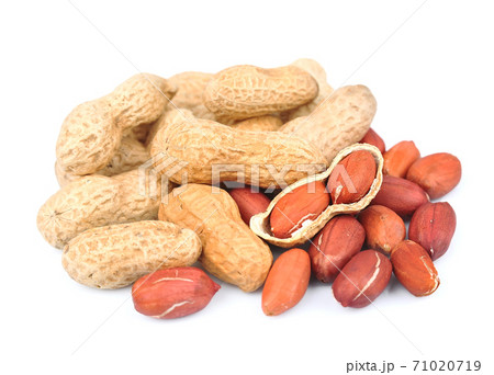 Peanuts nuts isolated on white backgrounds. Peanuts nuts isolated on white backgrounds. 71020719