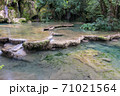 Jura Tufs waterfall, with its spectacle limestone sculptures 71021564