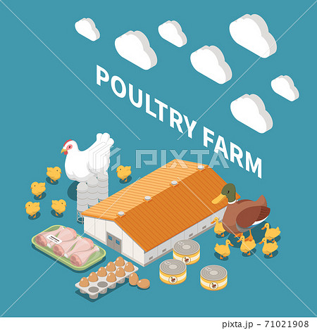Poultry Farm Isometric Composition Poultry Farm Isometric Composition 71021908