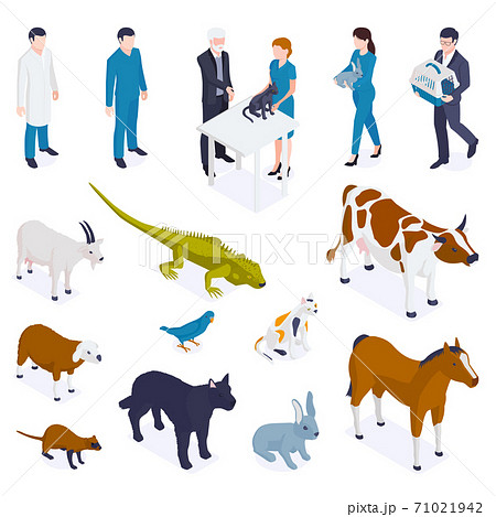 Isometric Animals Veterinary Set 71021942