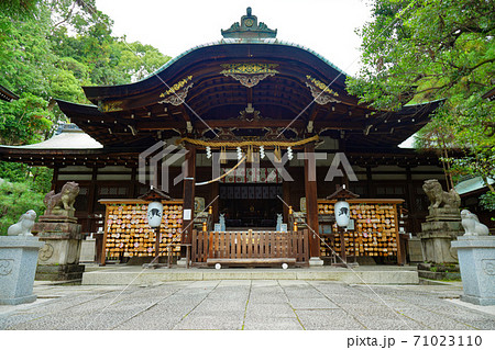 うさぎ神社 岡崎神社 うさぎ神社 岡崎神社 71023110