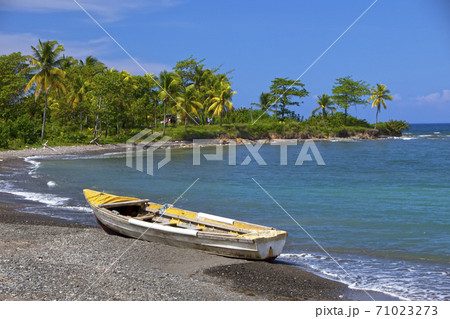 traditional wooden fishing boat on sandy sea coast with palm tree. Jamaica 71023273