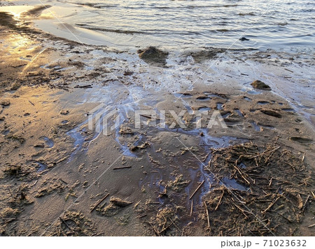 oil stains on beach sand environmental disaster 71023632
