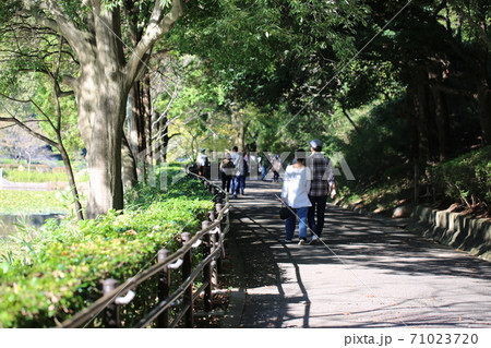 晴れた日に三ッ池公園を歩いた 71023720
