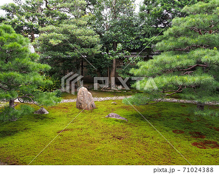 建仁寺塔頭 両足院庭園 建仁寺塔頭 両足院庭園 71024388
