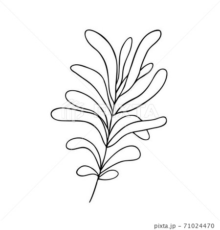 Leaves simple outline vector minimalist concept illustration, thin line hand drawn floral branch, element for invitations, greeting cards, booklet design 71024470