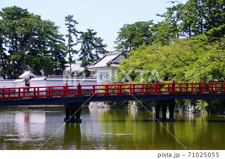 小田原城　学橋　2018年8月　神奈川県小田原市 71025055