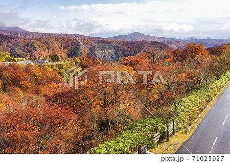 雨上がりの湯浜峠　紅葉　ドローン撮影　宮城県栗原市 71025927