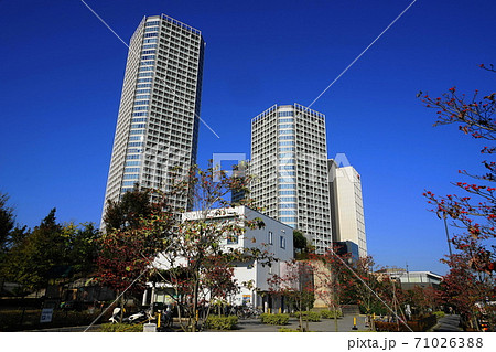 10月　世田谷344二子玉川ビル群･二子玉川公園通り 71026388