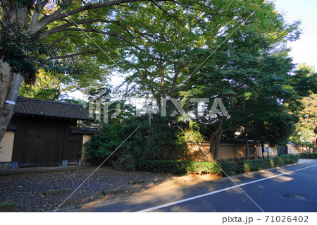 10月　世田谷333五島美術館 71026402