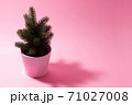 Small decorative Christmas tree on a pink background. 71027008