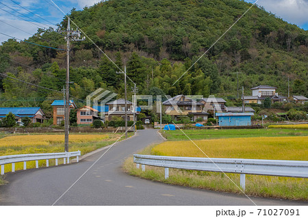 裏山のある田舎の通りと秋が訪れた田んぼの景色 裏山のある田舎の通りと秋が訪れた田んぼの景色 71027091