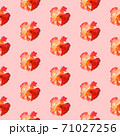 Seamless pattern with roses on a pink background. 71027256