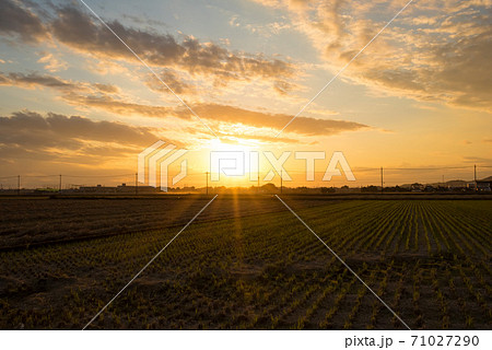 田舎の田畑を照らす日の入り前の太陽と広大な夕方の空の写真素材