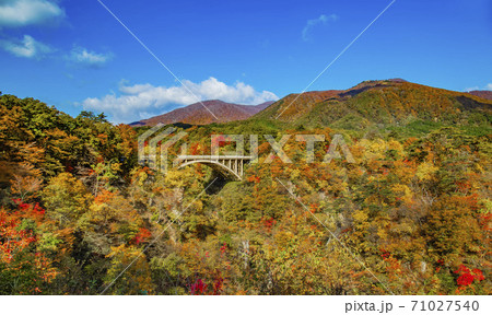 鳴子峡の紅葉　宮城県 71027540