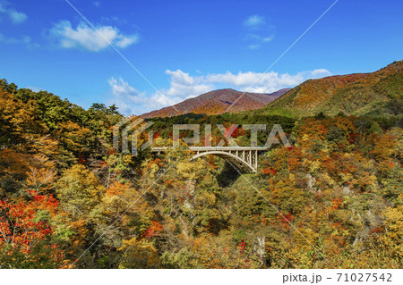 鳴子峡の紅葉　宮城県 71027542