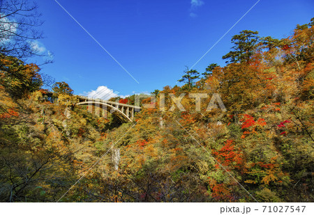 鳴子峡の紅葉 宮城県 鳴子峡の紅葉 宮城県 71027547