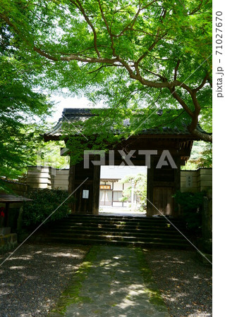 1458　泉洞寺 71027670