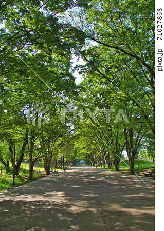 【町田市】鶴間公園 71027868