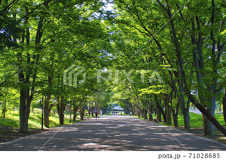 【町田市】鶴間公園 71028685