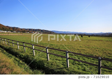 牧場の風景(北海道新冠町) 牧場の風景(北海道新冠町) 71029010