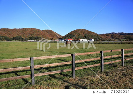牧場の風景（北海道新冠町） 71029014