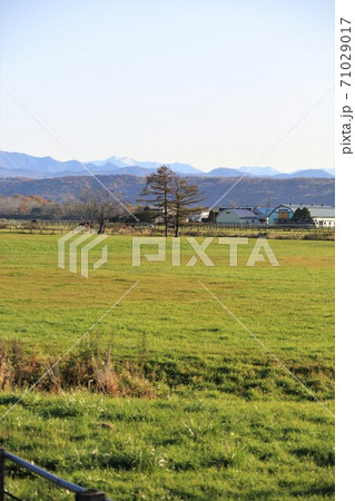 牧場の風景(北海道新冠町) 牧場の風景(北海道新冠町) 71029017