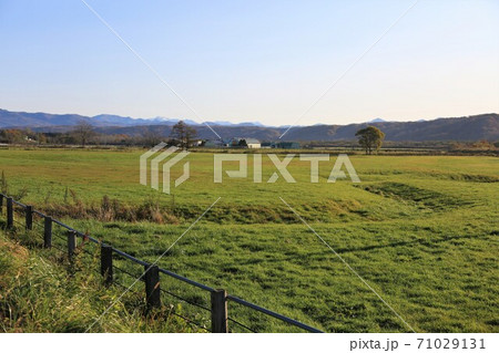 牧場の風景(北海道新冠町) 牧場の風景(北海道新冠町) 71029131