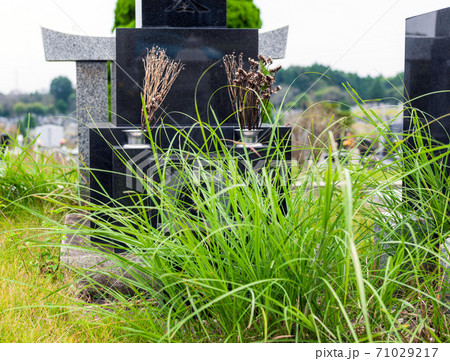 草ボウボウの手入れされていないお墓。 71029217
