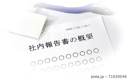 社内報告書の概要について　概要　会社 71030046