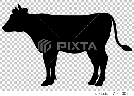 Cattle silhouette Cattle silhouette 71030091