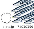 秋刀魚たち D手描き(吹き出し) 秋刀魚たち D手描き(吹き出し) 71030359