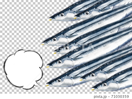 秋劍魚D手繪(井噴) 秋劍魚D手繪(井噴) 71030359